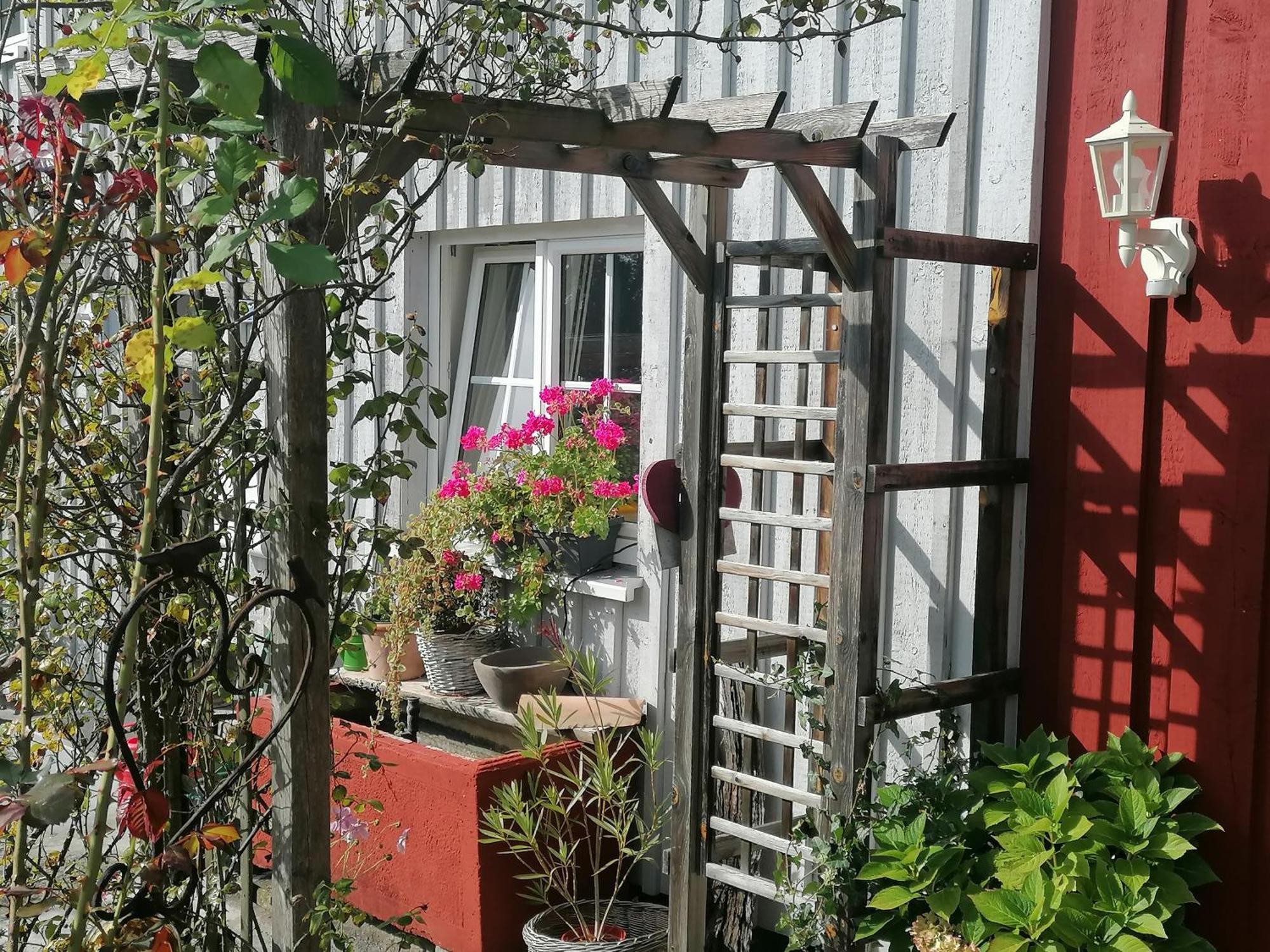 Dornroeschen Weißensberg