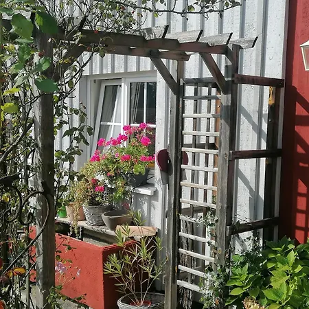 Ferienwohnungen Dornröschen Weißensberg Exterior foto