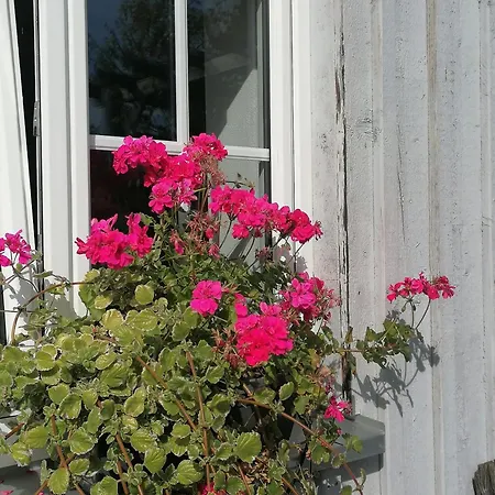 Ferienwohnungen Dornröschen Weißensberg Exterior foto
